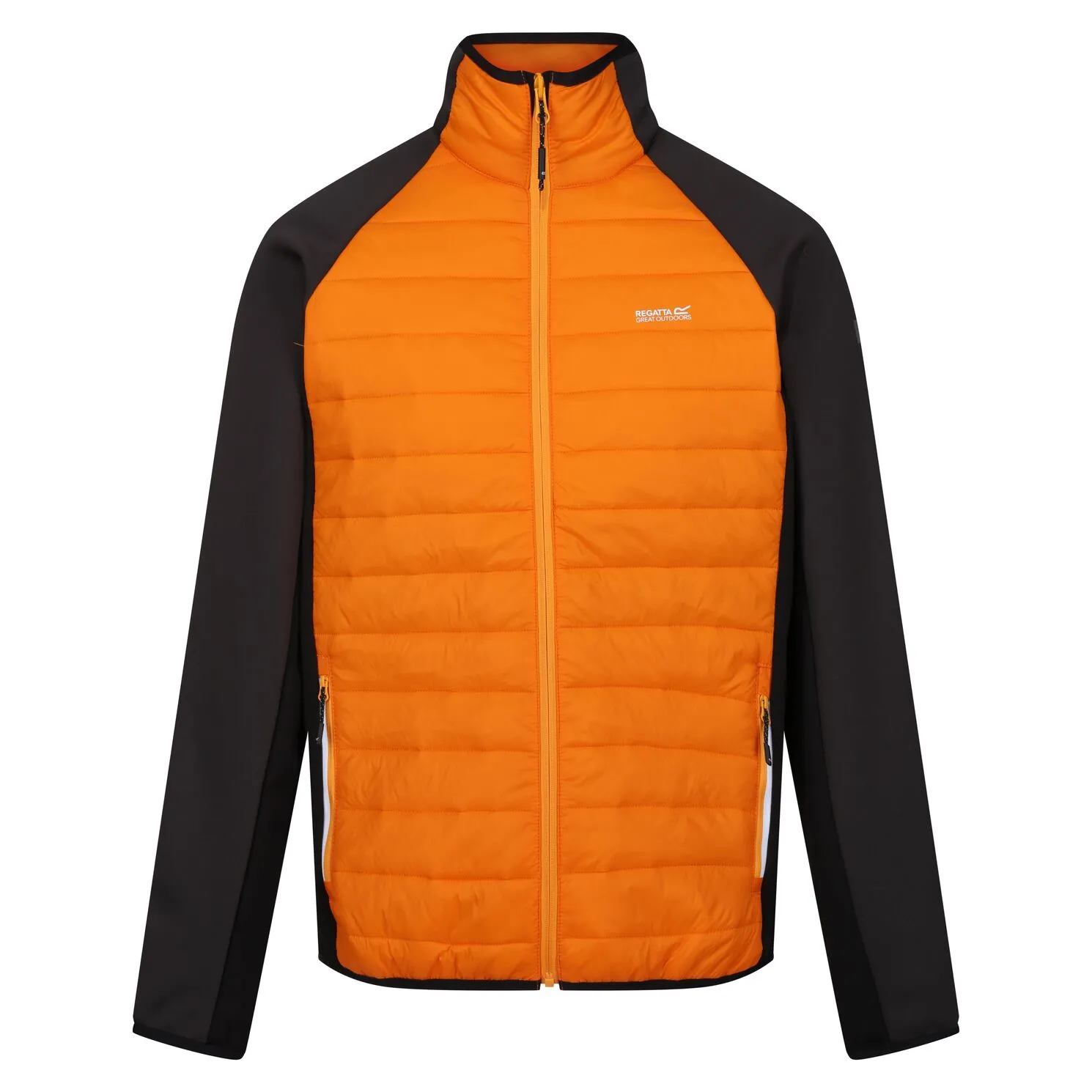 Regatta Clumber IV Hybrid Erkek Ceket