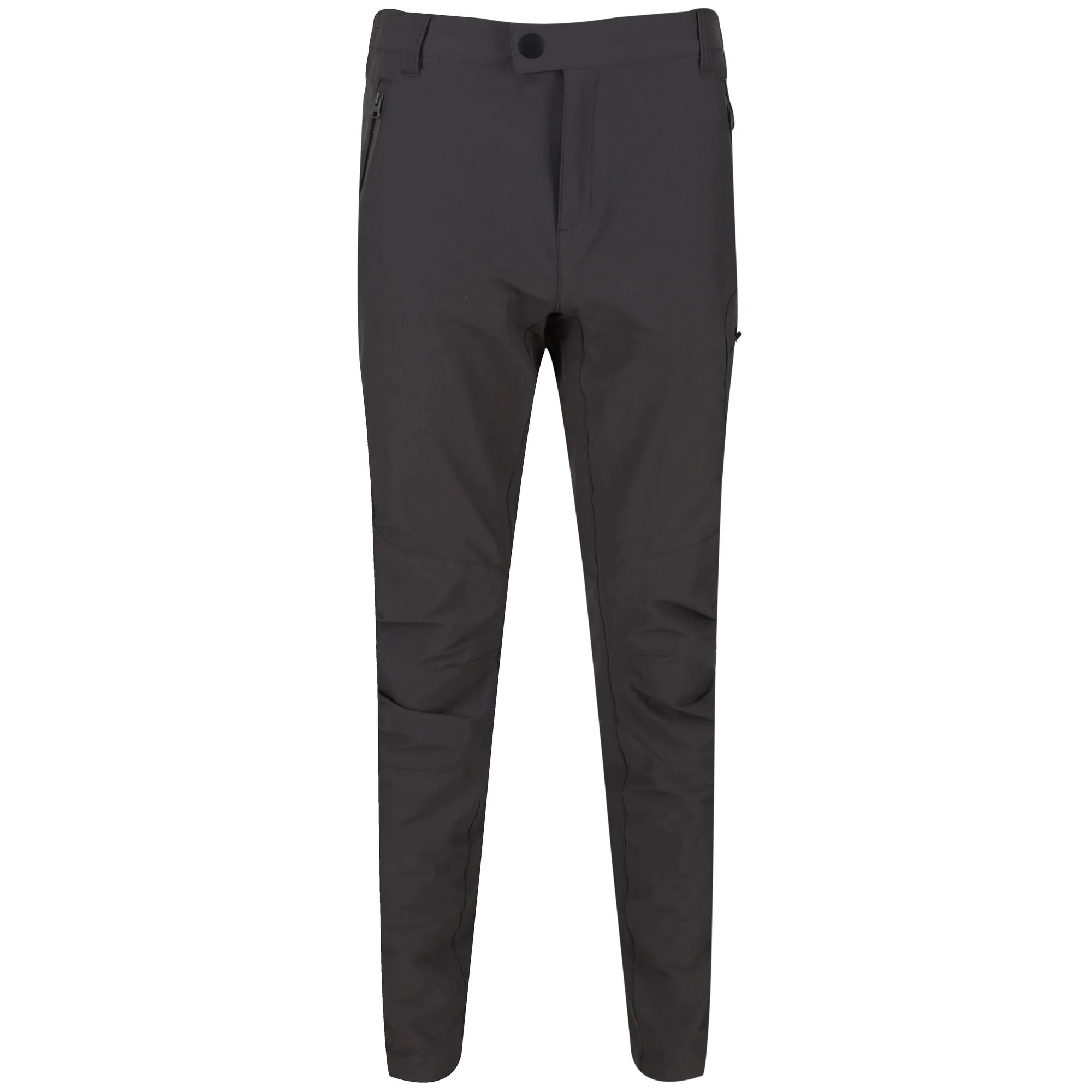 Regatta Highton Trouser Trekking Erkek Pantolon